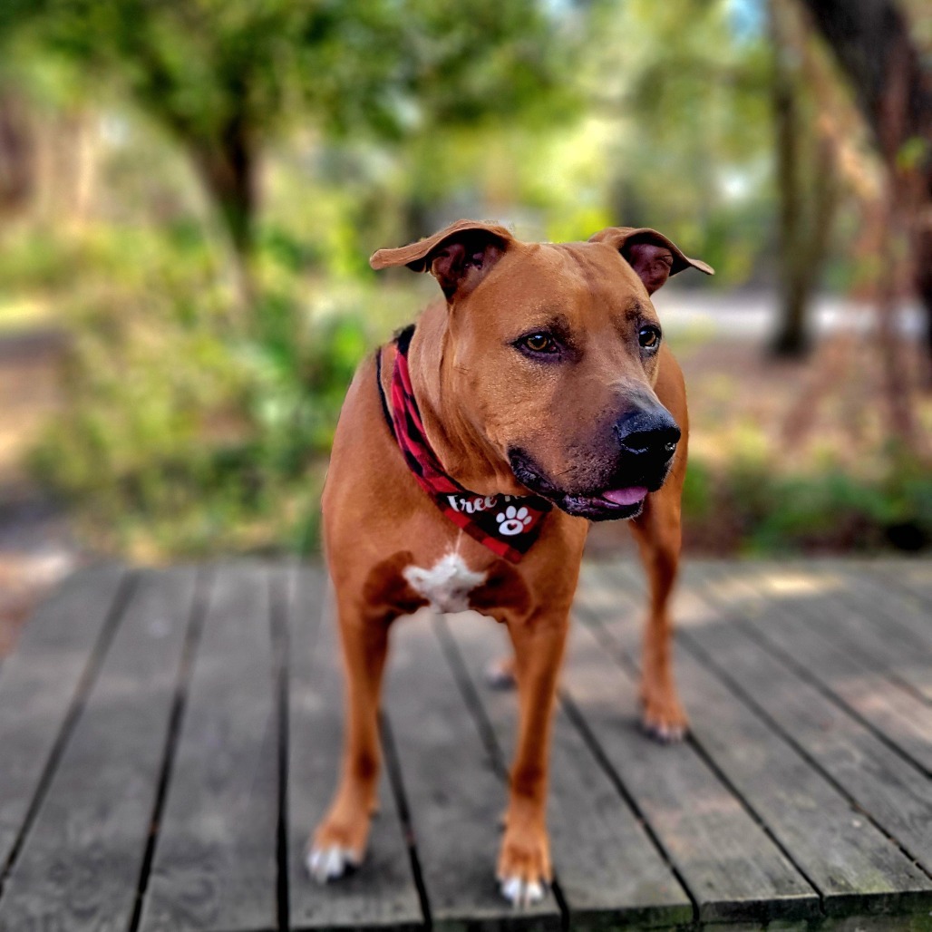 Rusty