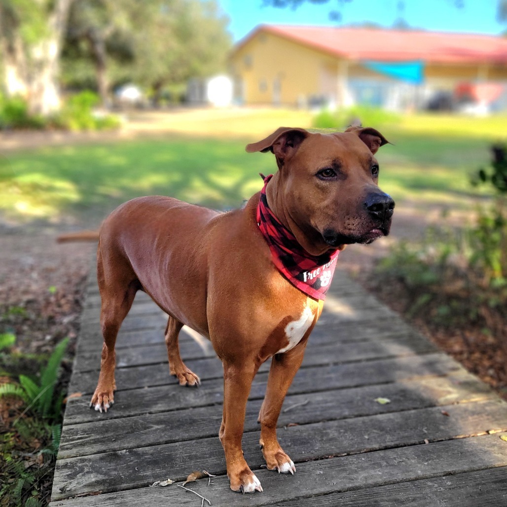 Rusty