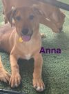 Anna photo 3