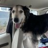Zuzu photo 2