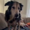 Zuzu photo 3