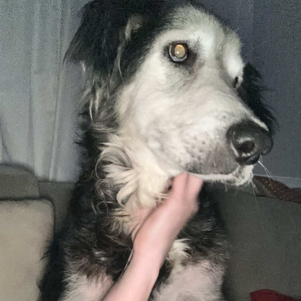 Zuzu