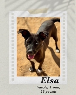 Elsa