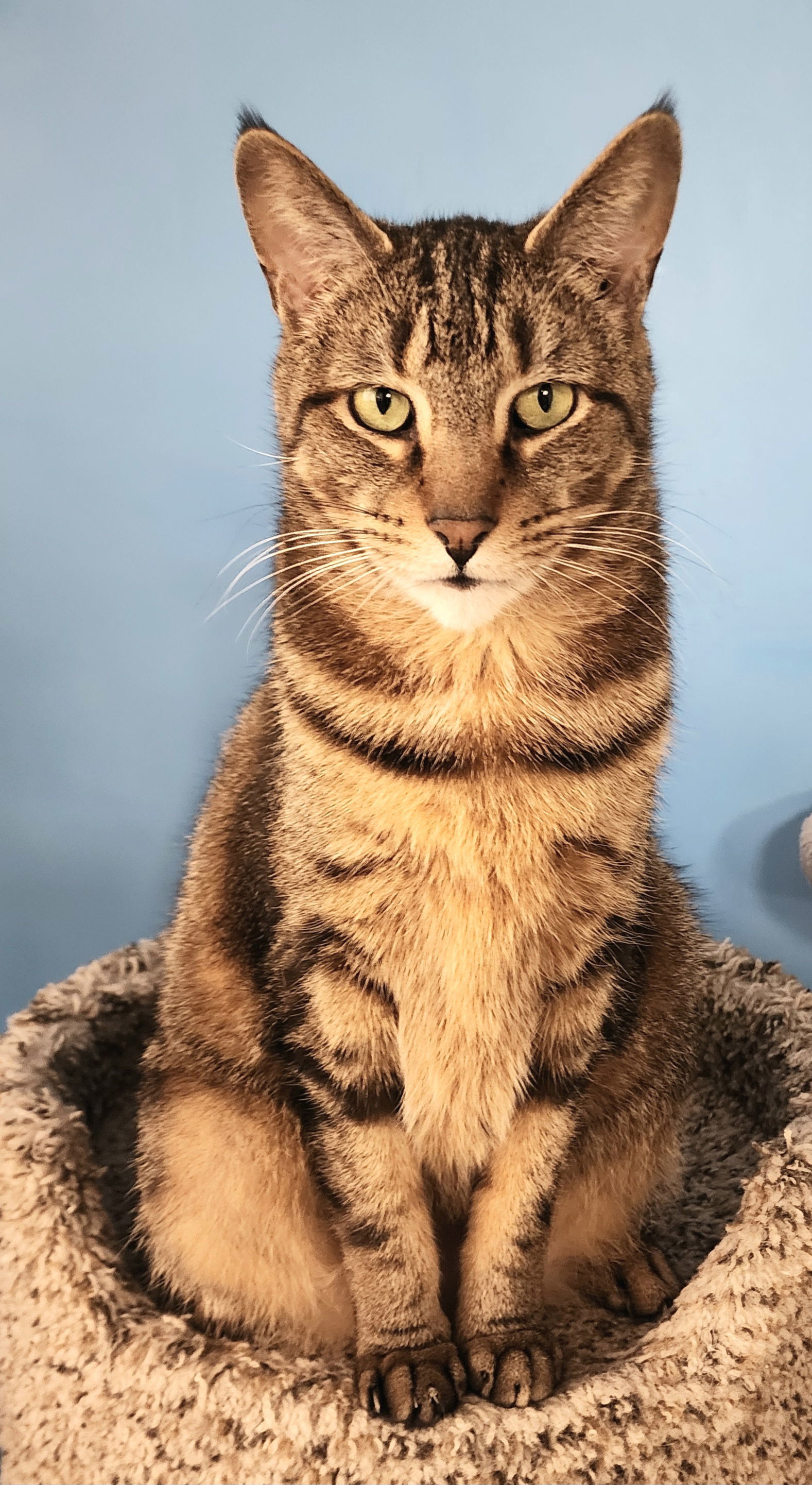 Milo