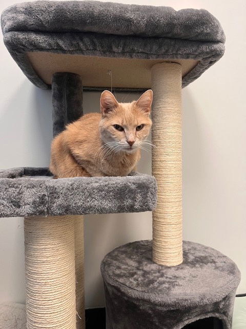 Milo