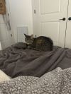 Bonnie photo 2