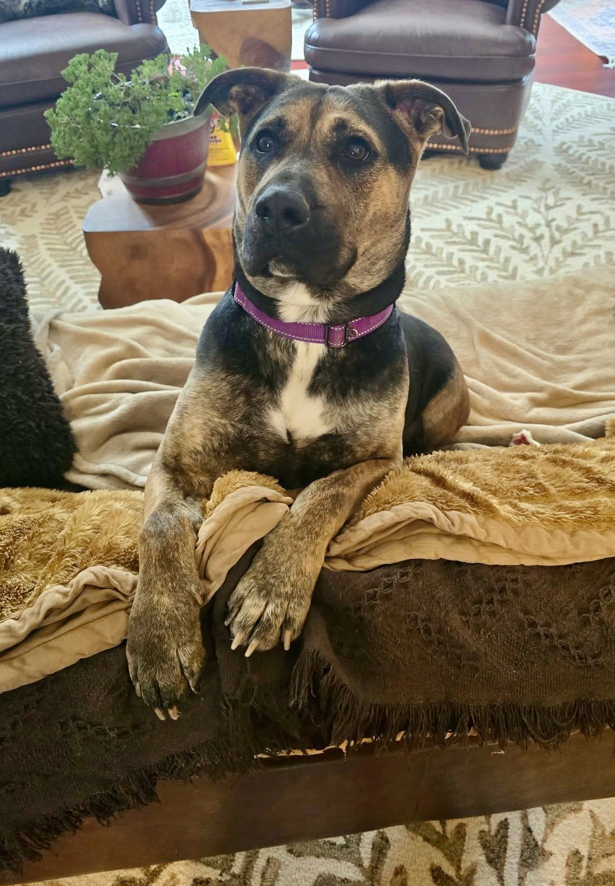 Tinker