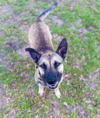 Kona