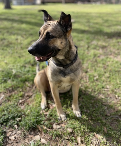 Kona