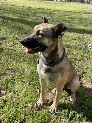 Kona