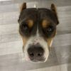 Lucy