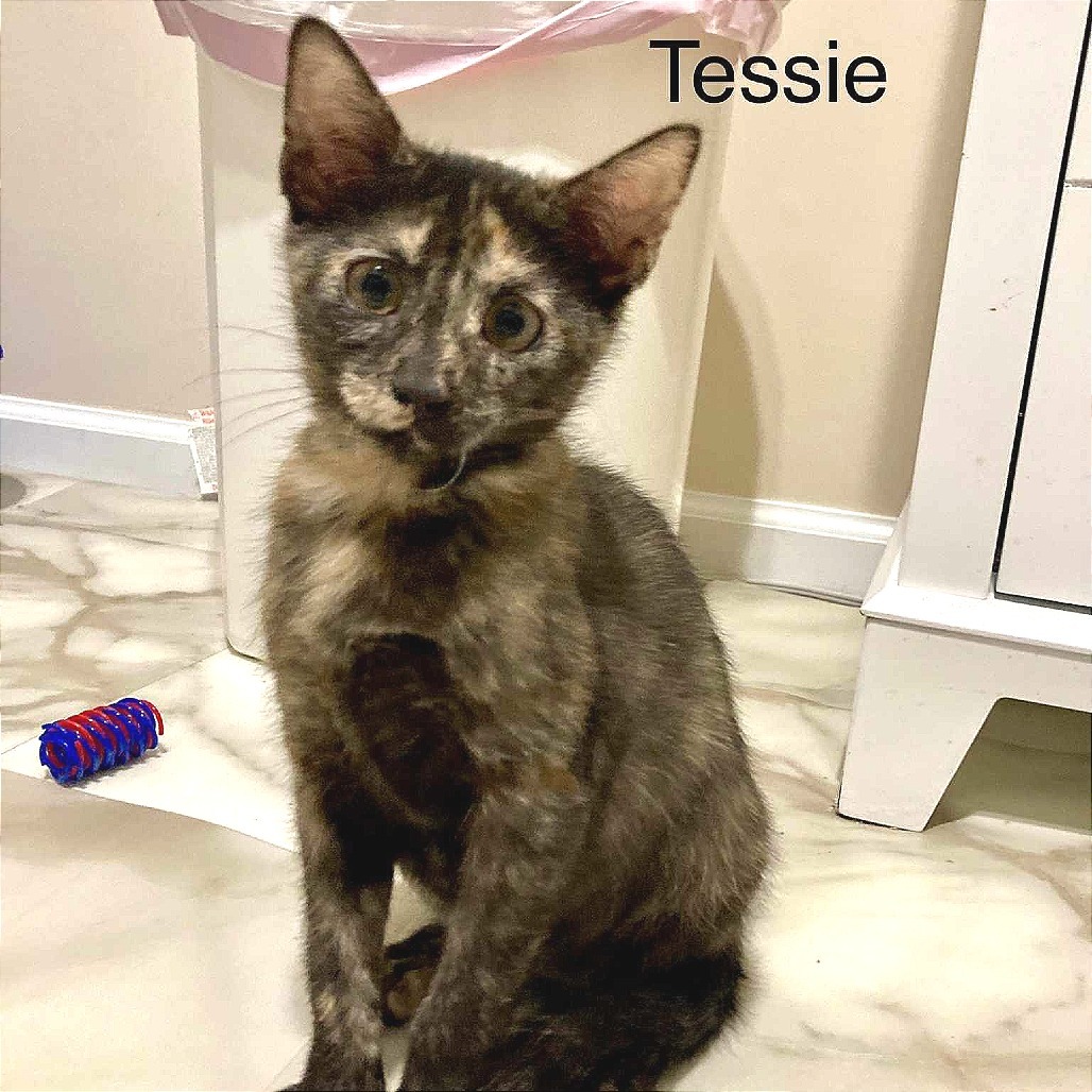 Tessie