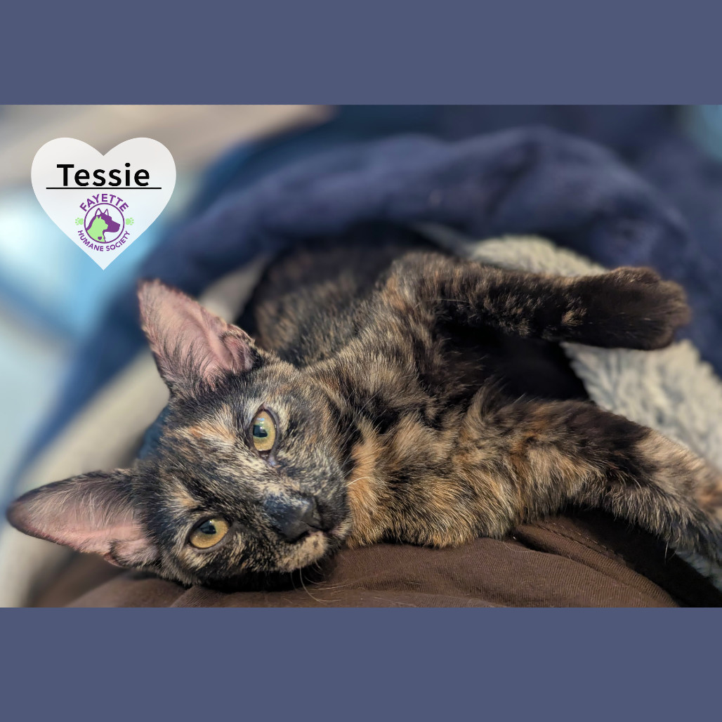 Tessie