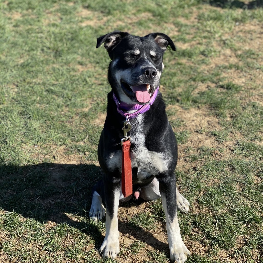 Finn