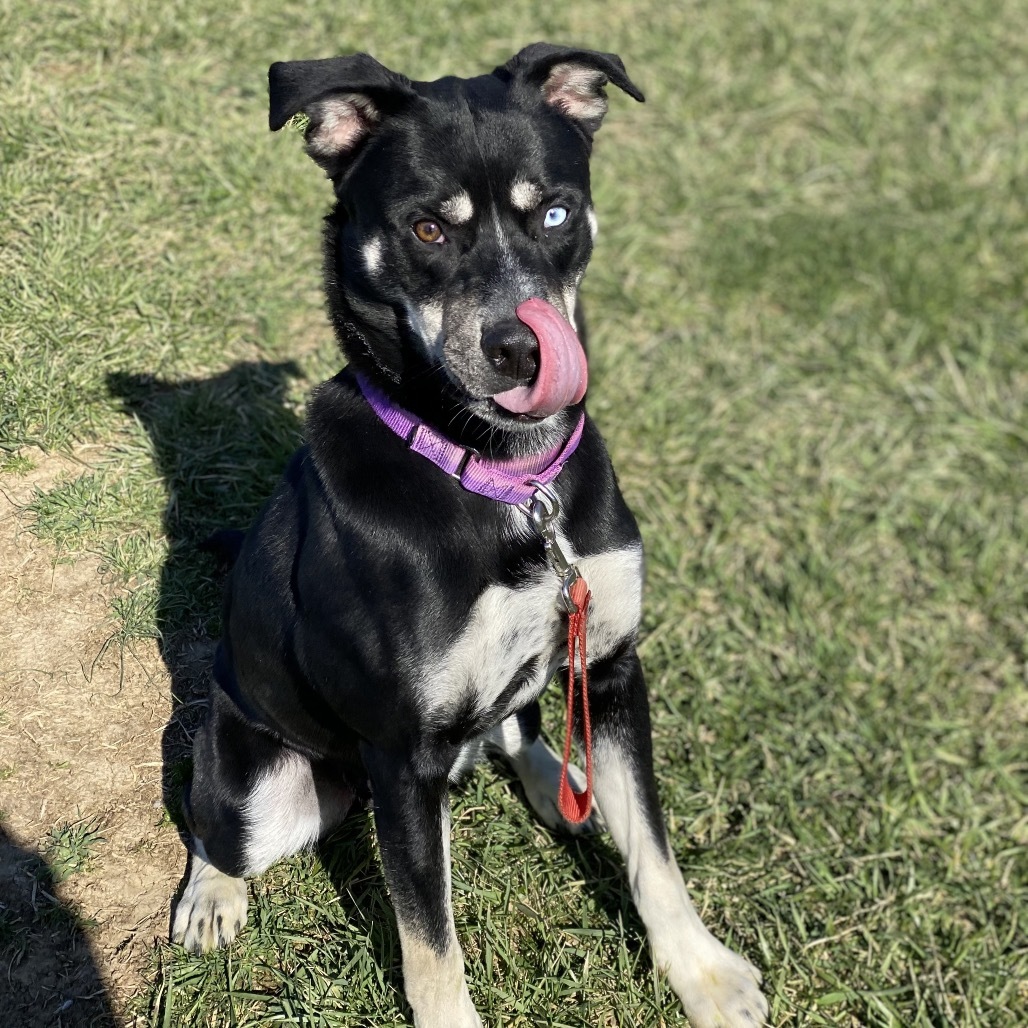 Finn