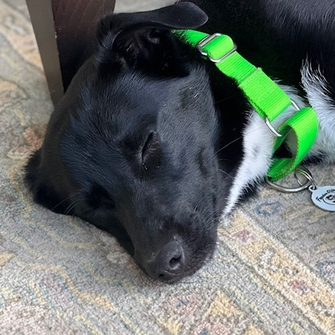 Rory