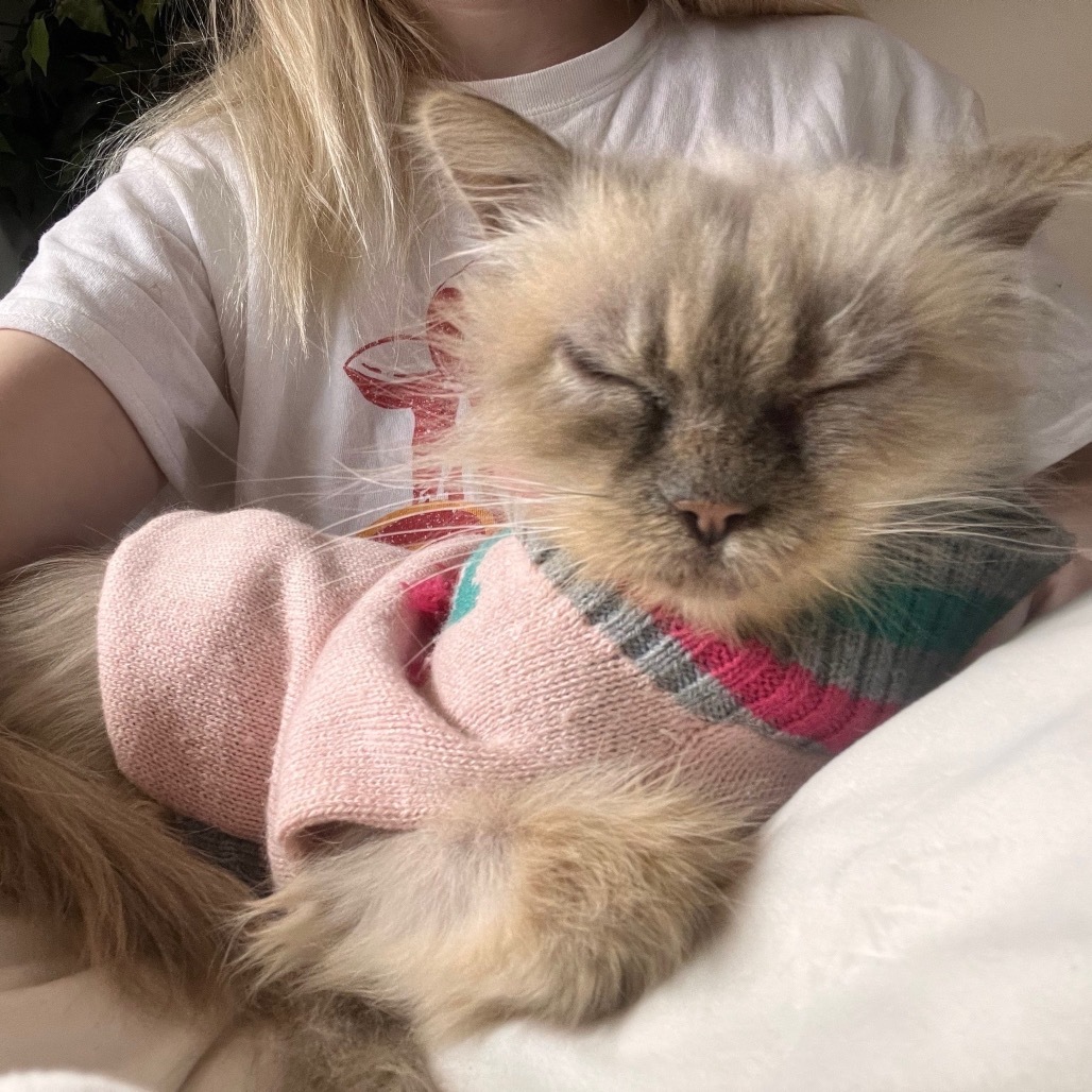Princess