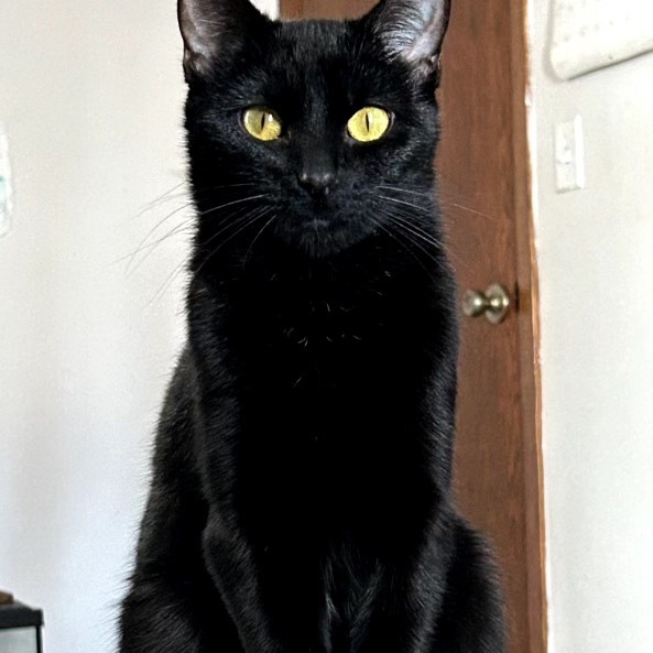 Salem