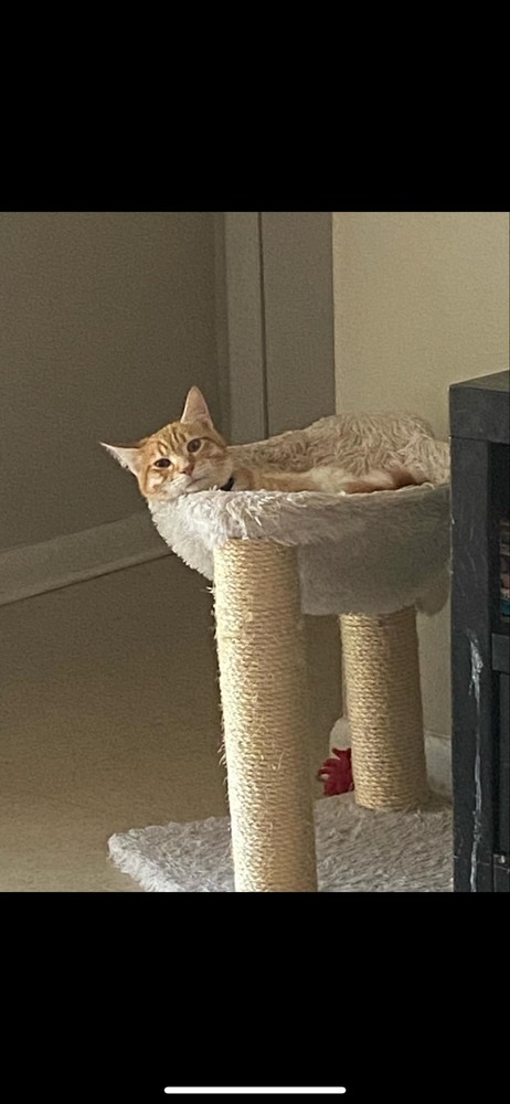 Milo