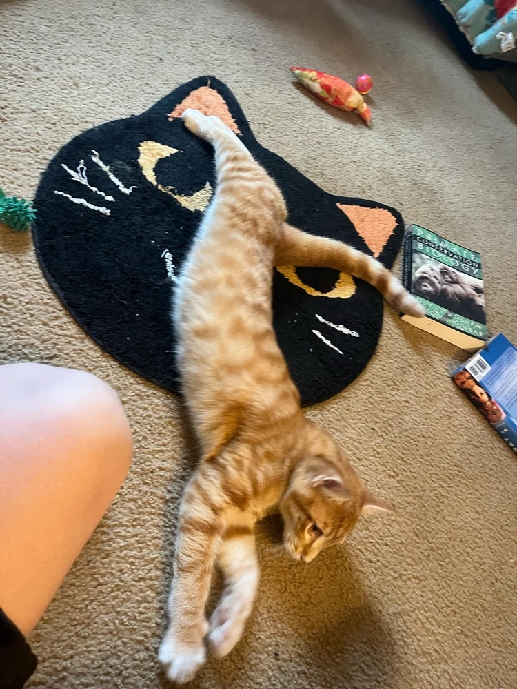 Milo
