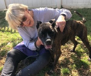 With her adorable Boxer-like face and beautiful dark brindle coat Alberta is the kind of girl who t