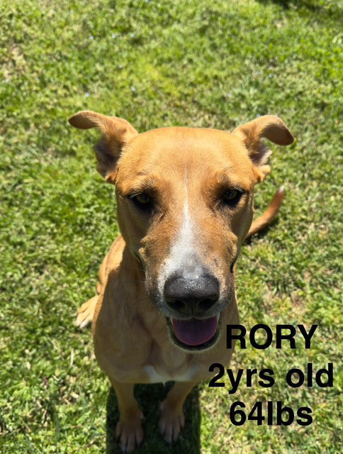 RORY
