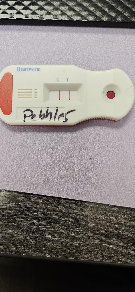 Pebbles