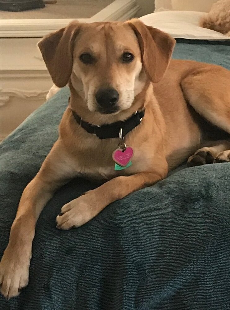 Very Nice Nellie