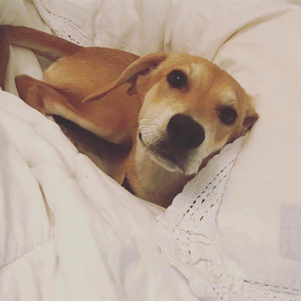 Very Nice Nellie