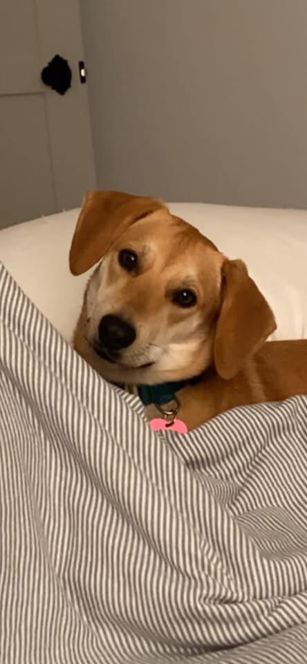 Very Nice Nellie