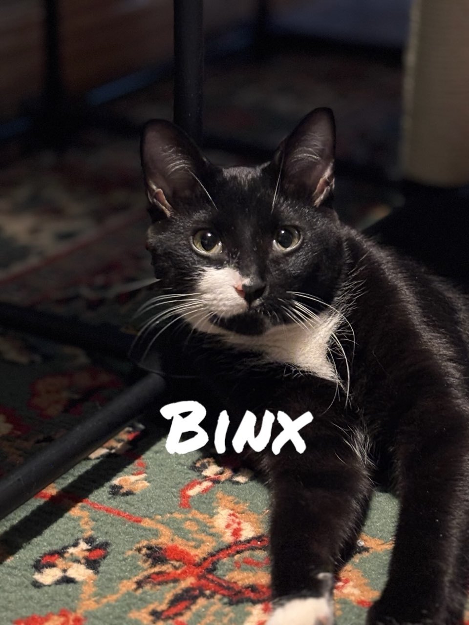 Binx