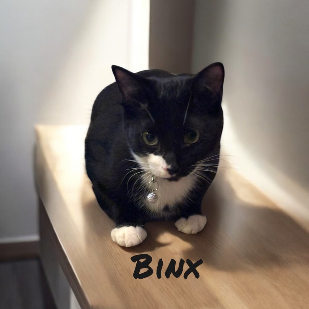 Binx