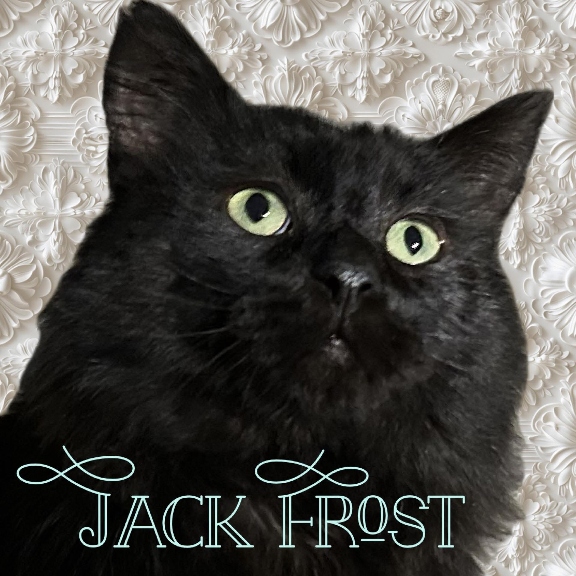 Jack Frost