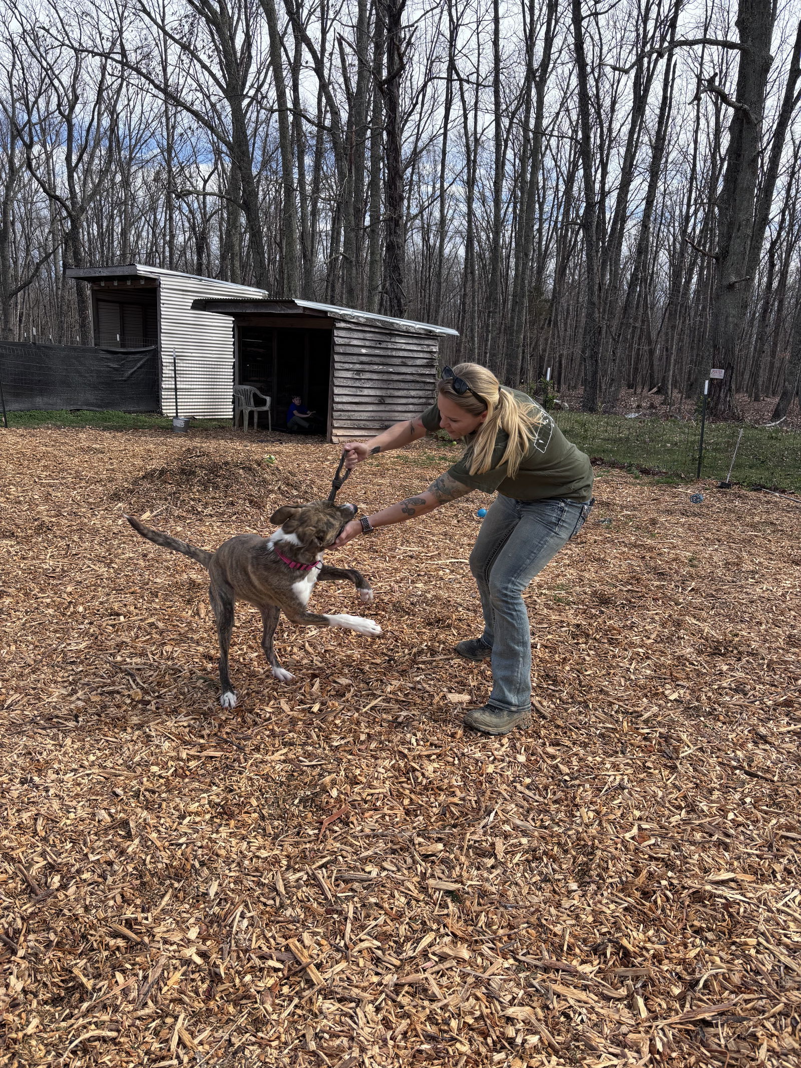 Sophia: Not at shelter (Alan)