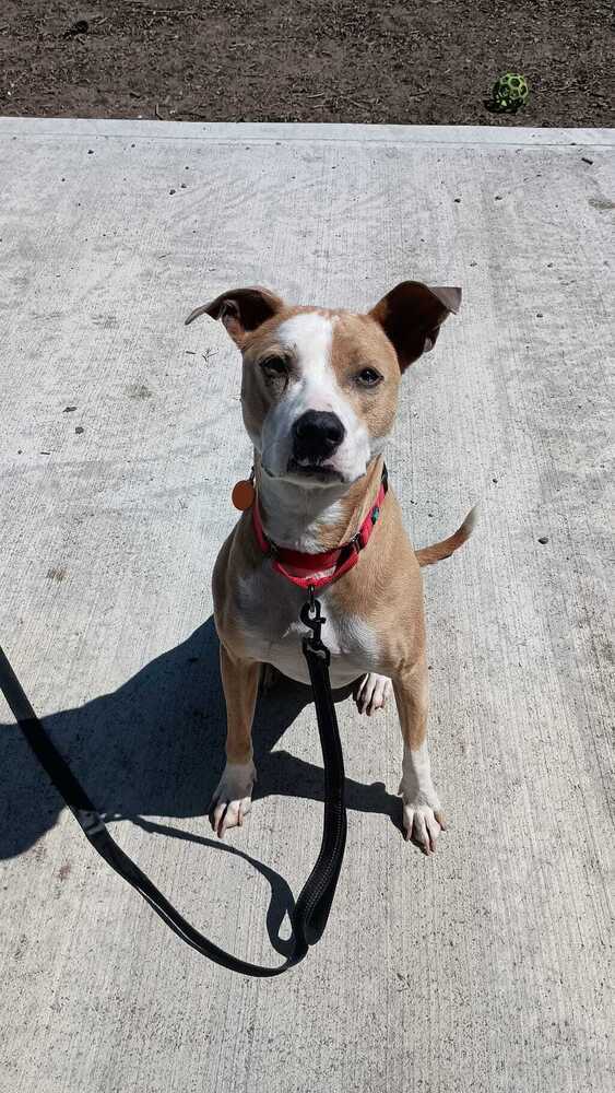 Lennox (LOCATED AT BTDR HQ) 5