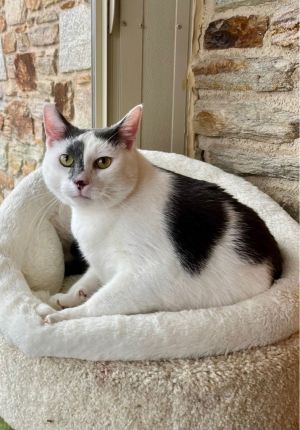 Binx (24-1664)