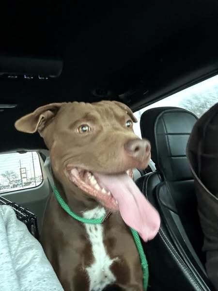 BUTTER- ADOPTED !! 1