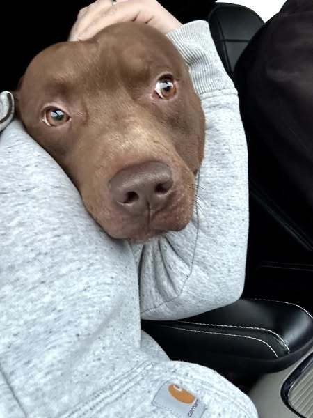 BUTTER- ADOPTED !! 2