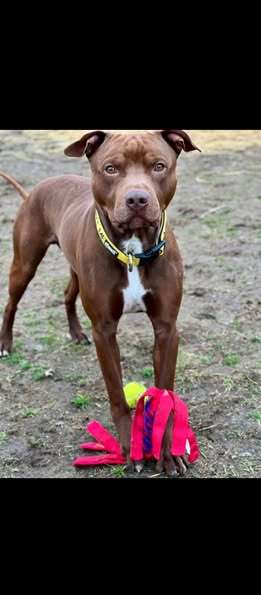 BUTTER- ADOPTED !! 3