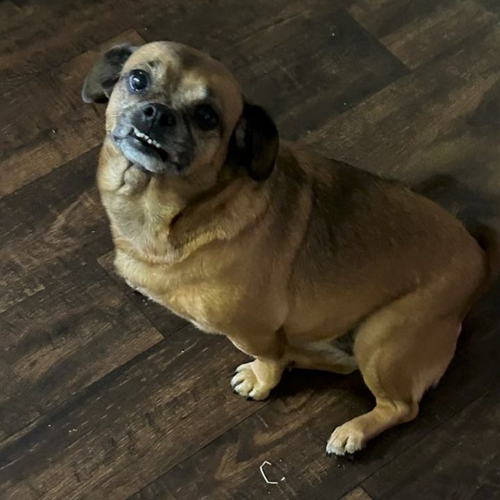 Maddie 3