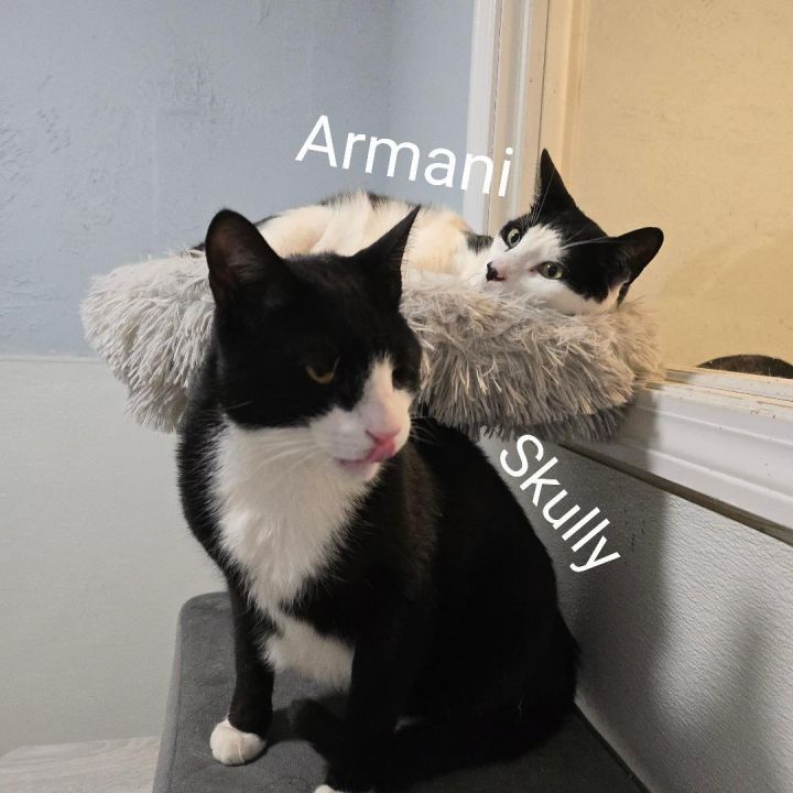 Armani & Skully 1
