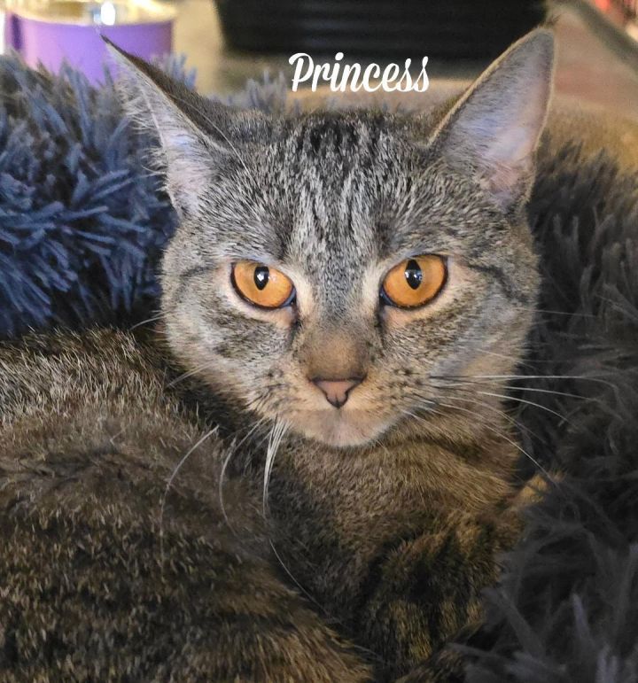 Princess 1