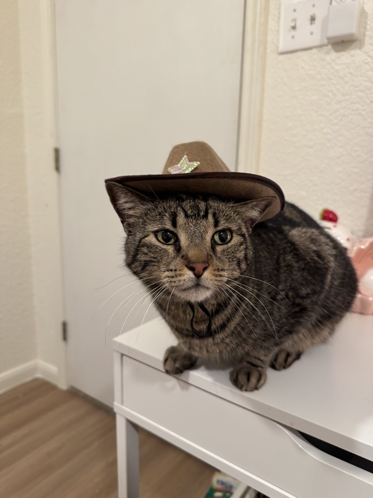 Jose Cuervo
