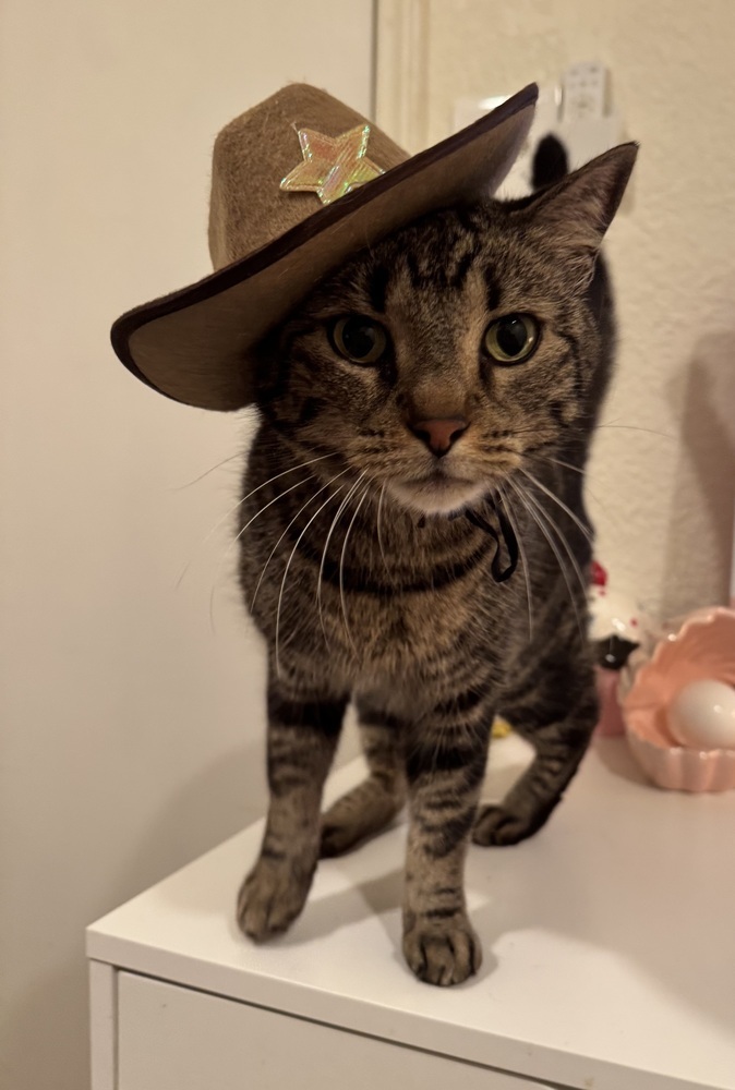 Jose Cuervo