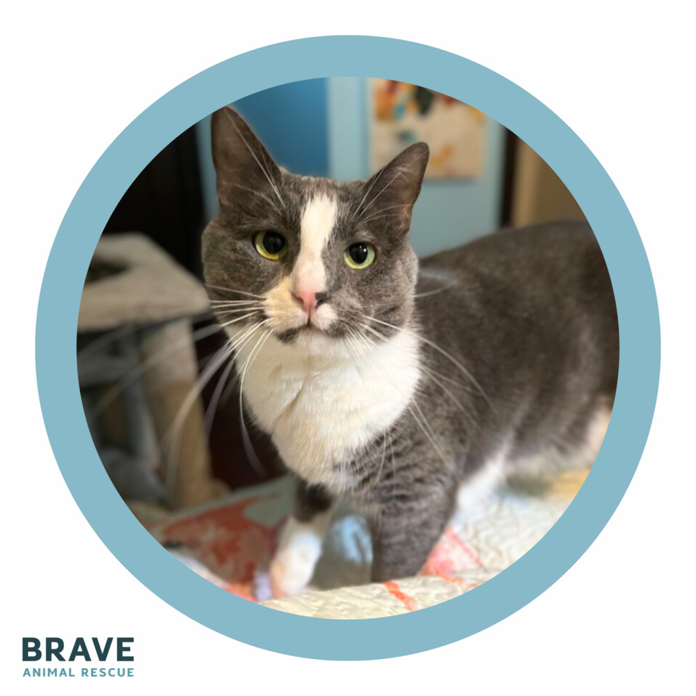 Mums [adoption sponsored!]
