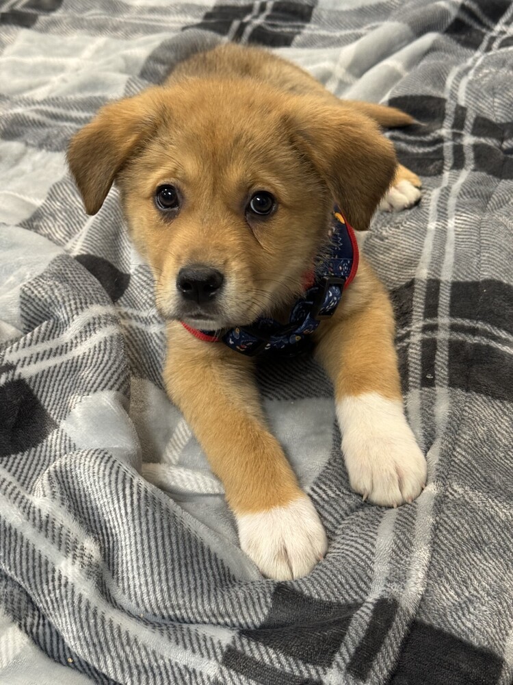 Diego
