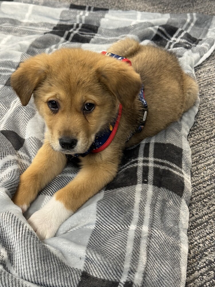 Diego