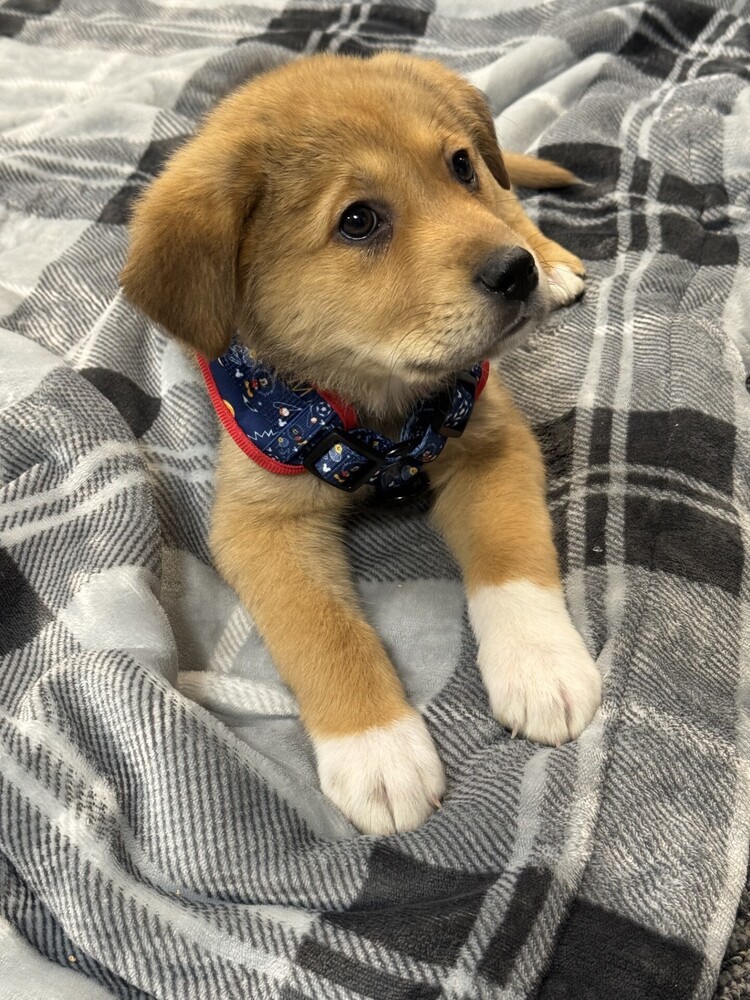 Diego