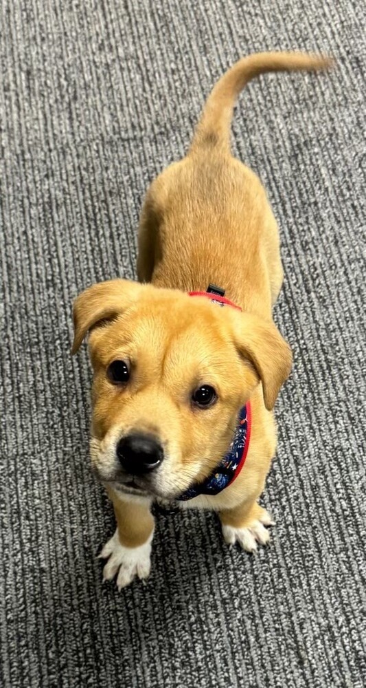 Cruz