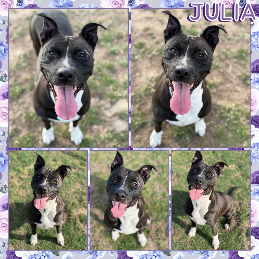 Julia